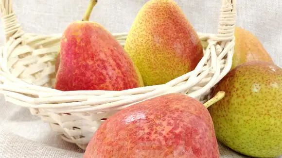 進(jìn)口食品報(bào)關(guān)