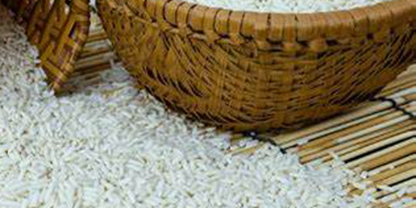 越南大米出口價(jià)格創(chuàng)新高
