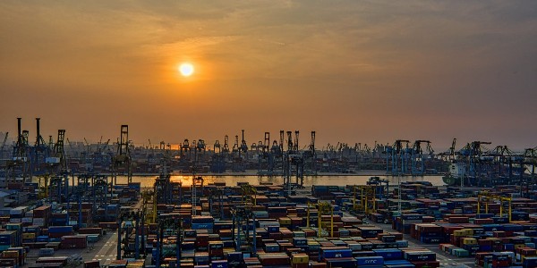 進口報關|關于發(fā)布《2024年第七屆中國國際進口博覽會海關通關須知》和《海關支持2024年第七屆中國國際進口博覽會便利措施》的公告