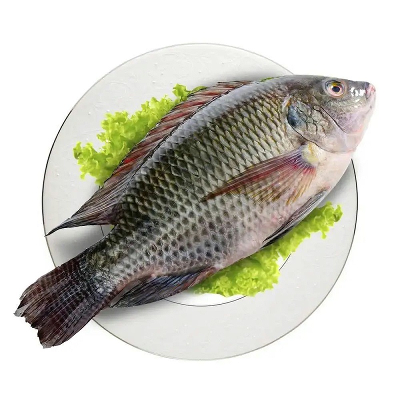 羅非魚產品出口報關